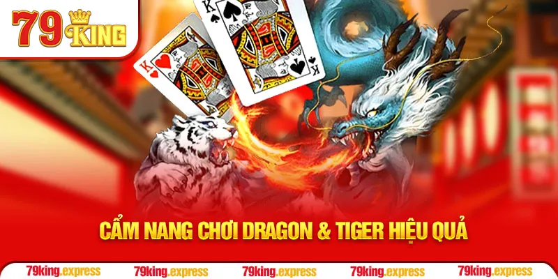 Cẩm nang chơi Dragon & Tiger hiệu quả